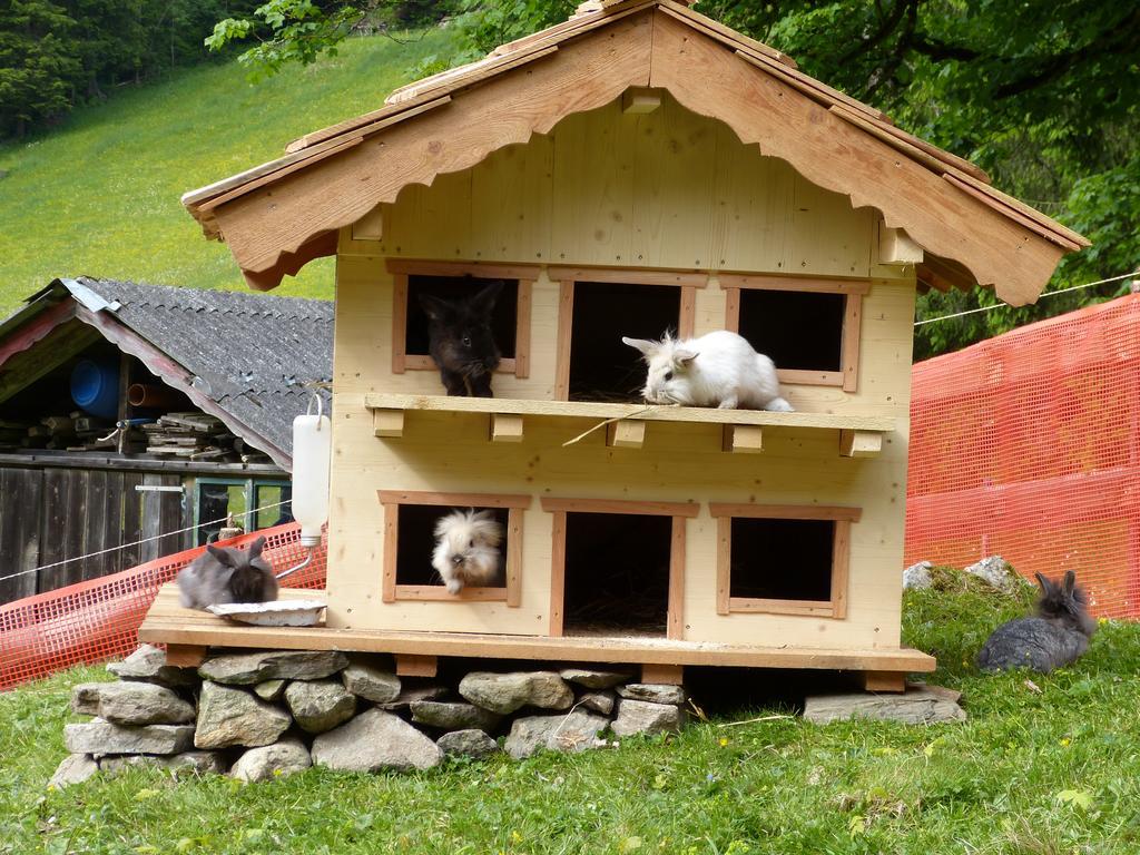 Schieplechnerhof Schladming Exterior foto