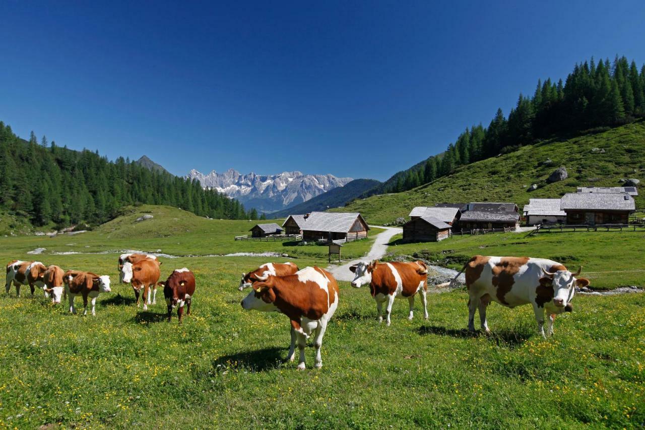 Schieplechnerhof Schladming Exterior foto